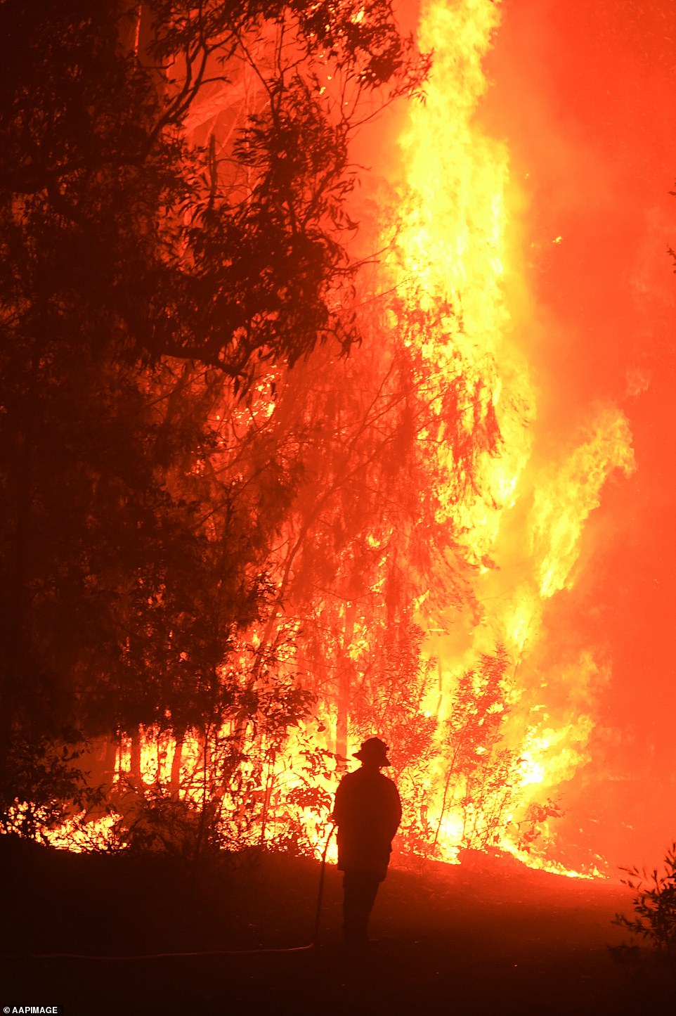 تلقى الساحل الجنوبي لولاية نيو ساوث ويلز الذي دمرته الحرائق تمويلًا حكوميًا. في الصورة حريق مشتعل خارج نطاق السيطرة بين خليج بايتمان وأولادولا في ديسمبر 2019