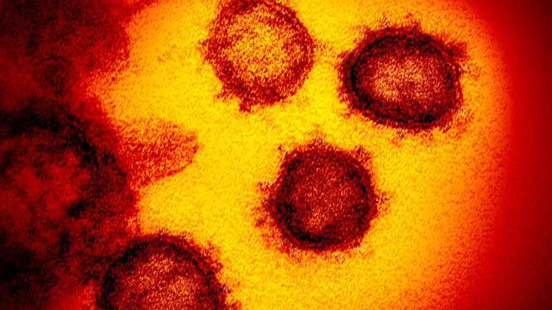 ظهور متحور فرعي جديد من فيروس كورونا وتسجيل أول حالة إصابة في نيو ساوث ويلز