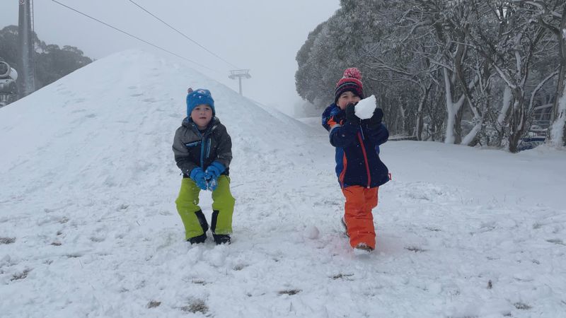موسم التزلج في فيكتوريا يبدأ بقوة مع استمرار هطول الثلوج