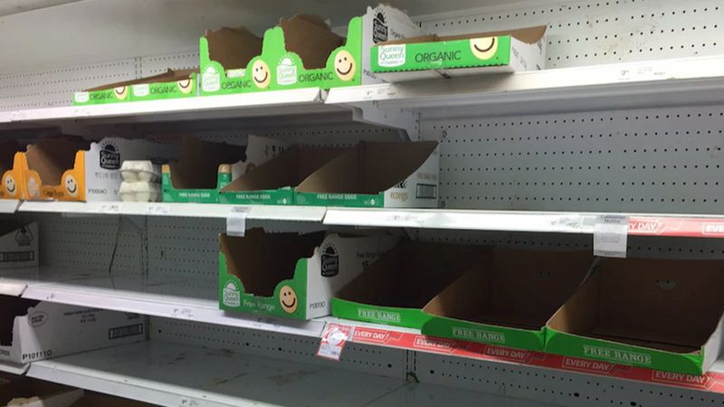 أستراليا: نقص البيض الطازج في محلات السوبر ماركت