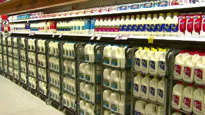 أستراليا: ارتفاع أسعار الحليب في شركة Coles.. وإليك الأسعار الجديدة