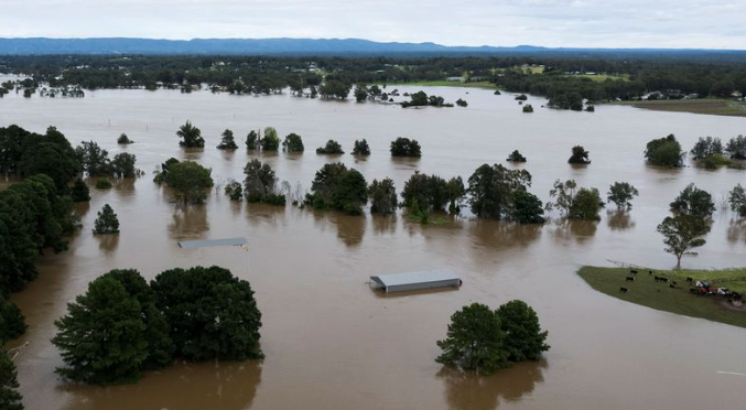 نيو ساوث ويلز هل تصبح الخضار ذكيات في أذهان السكان بعد الفيضانات الأخيرة؟