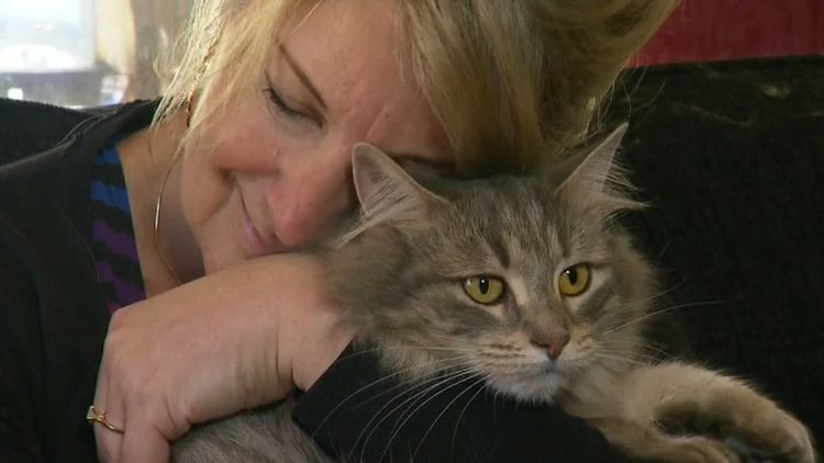 العثور على قطة مفقودة على قيد الحياة بعد أن تاهت في مطار ملبورن 10 أيام في البرد الشديد