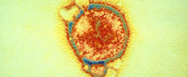 ظهور فيروس جديد شرق الصين.. وإصابة 35 شخصاً كحصيلة أولية