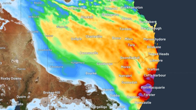أمطار مستمرة في بعض الولايات الأسترالية وأجواء مشمسة في ولايات أخرى.. تعرف على الطقس في الأسبوع الأول من الربيع
