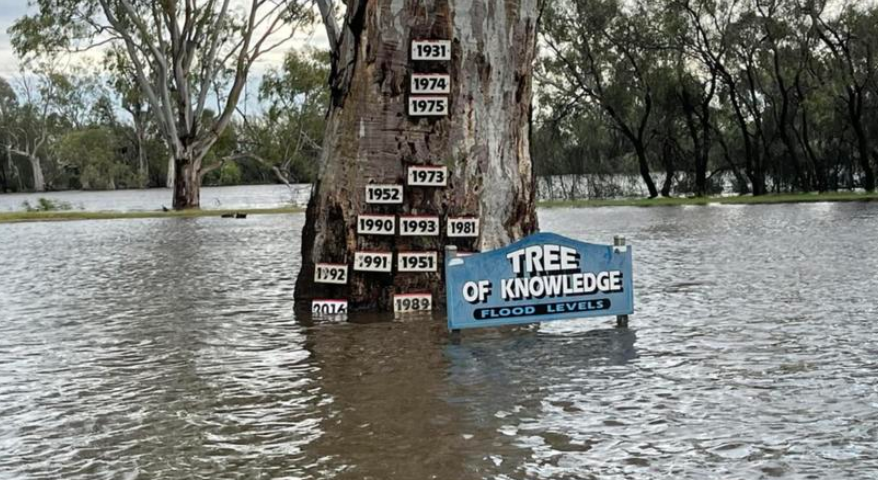 جنوب أستراليا سيقضي سكان الولاية فترة الميلاد بين مياه الفيضانات!