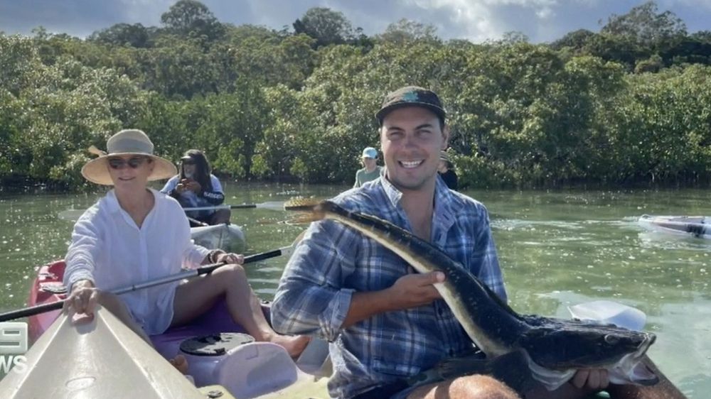 ظهور تمساح في منطقة سياحية في أستراليا في مشهد غير مألوف