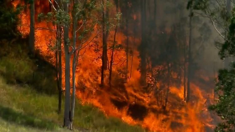 تسجيل أعلى درجات حرارة في كوينزلاند وتحذيرات من الحرائق التي تكتسح جميع أنحاء الولاية